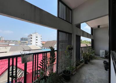 Spacious balcony with plants and urban view