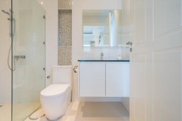 Modern bathroom with walk-in shower, toilet, and vanity area