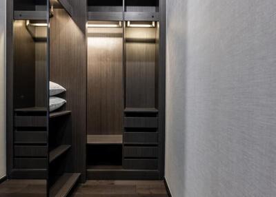 Modern hallway interior with dark wood finishes and stylish lighting