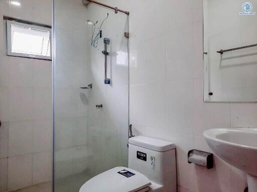 Compact white bathroom with a walk-in shower, toilet, and washbasin