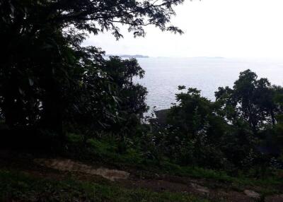 Scenic ocean view with foliage