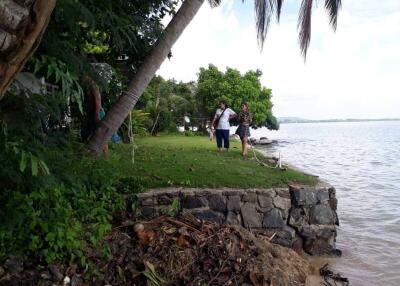 Two people standing by the lakeside near a lush green lawn with palm trees