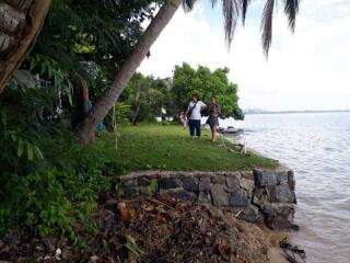 Two people standing by the lakeside near a lush green lawn with palm trees