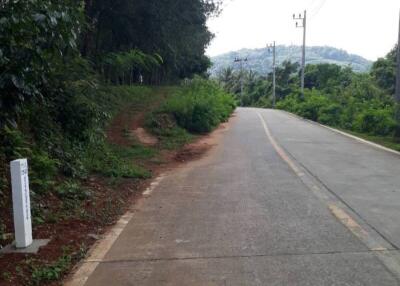 Paved road surrounded by greenery leading into the distance