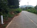 Paved road surrounded by greenery leading into the distance