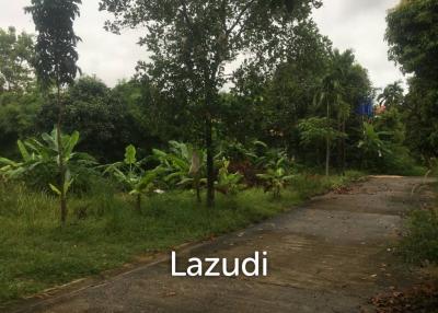 492 Sqm. Land For Sale in Ko Samui