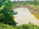 Peaceful water pond surrounded by lush greenery