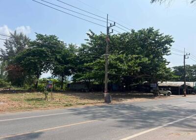 View of a roadside lot with trees and power lines