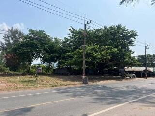 View of a roadside lot with trees and power lines