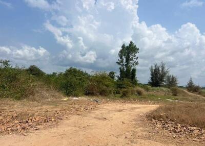 Empty land plot with natural vegetation under a clear blue sky