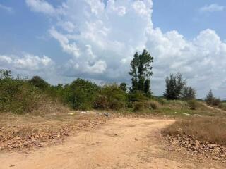 Empty land plot with natural vegetation under a clear blue sky