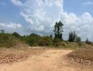 Empty land plot with natural vegetation under a clear blue sky