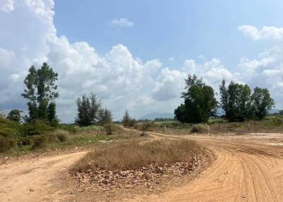 Dirt road leading into undeveloped land with scattered trees under a blue sky with clouds