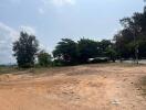 Vacant land with dirt surface and sparse trees under a clear sky