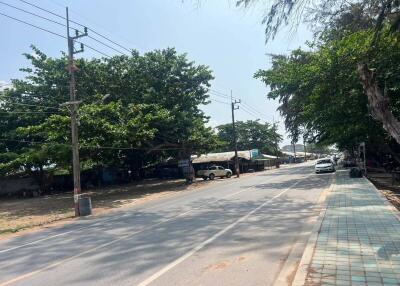 Quiet street with trees and parked vehicles