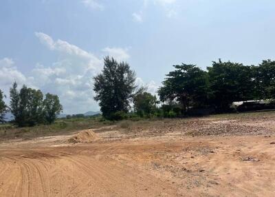 undeveloped land with dirt road and surrounding vegetation under a clear sky