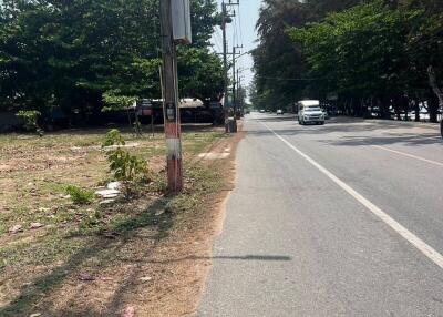 Paved road with greenery and electric poles along the roadside