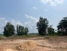 Empty land with scattered vegetation and blue sky