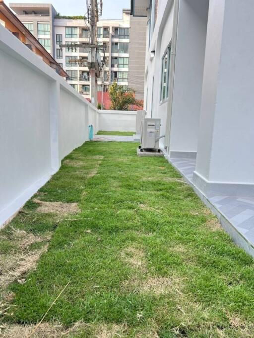 Narrow strip of outdoor grassy area with a pathway alongside a building
