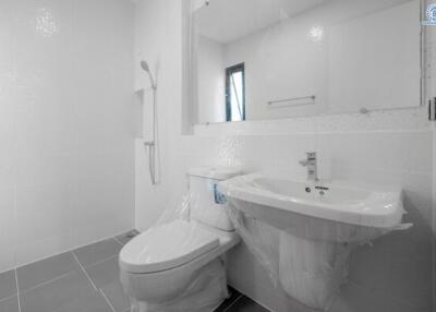 Modern clean bathroom with white fixtures