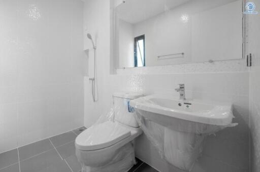 Modern clean bathroom with white fixtures