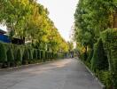 Tree-lined street within a property complex