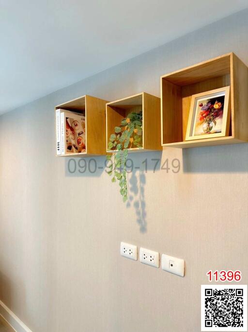Wall-mounted decorative shelves with items and a hanging plant in a living area