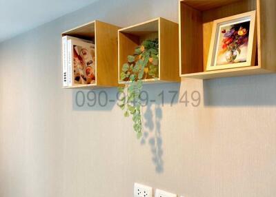 Wall-mounted decorative shelves with items and a hanging plant in a living area