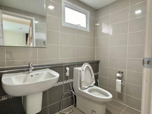 Modern bathroom with tiled walls and natural light