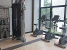 Modern gym facility with exercise equipment inside a residential building