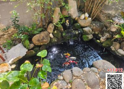 Serene backyard koi pond surrounded by lush greenery and decorative stones