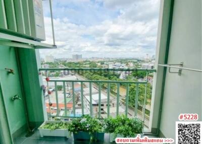 Bright balcony with city view and potted plants