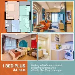 Collage of various rooms in a 1 Bed Plus apartment including layout, living room, bedroom, and kitchenette