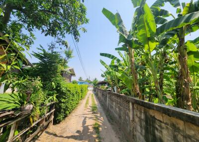 Pathway leading to a residential area with lush greenery