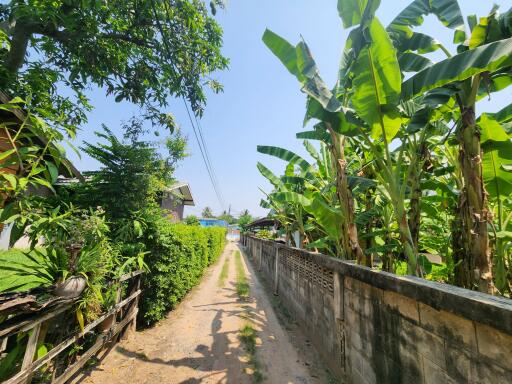 Pathway leading to a residential area with lush greenery