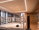 Modern recreation room with boxing ring and city views