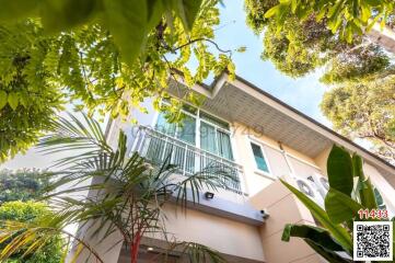 Exterior view of a two-story house with balcony amidst lush greenery