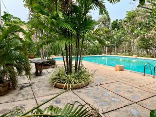 Spacious outdoor pool surrounded by lush tropical greenery and comfortable seating