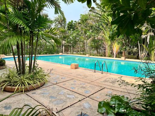 Spacious outdoor pool surrounded by lush greenery in a luxurious residential property