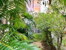 Lush garden with tropical plants in a residential property