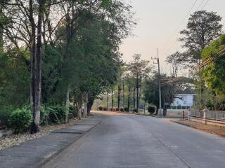 Quiet residential street with lush greenery and paved road