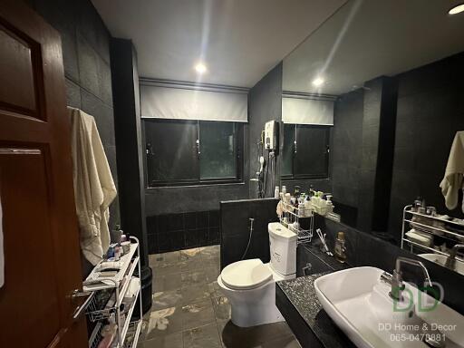 Modern bathroom with dark tiles and large mirror