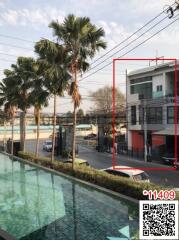 Modern urban building with foreground pool and lush palm trees