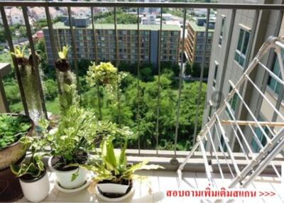 High-rise balcony overlooking residential area with a collection of potted plants