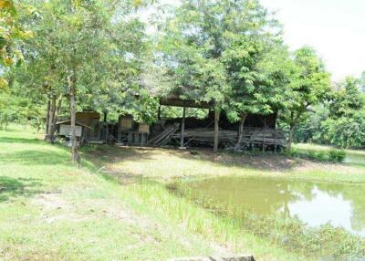 For Sale Pathum Thani Land Khlong Luang
