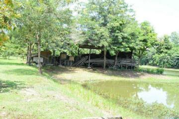 For Sale Pathum Thani Land Khlong Luang