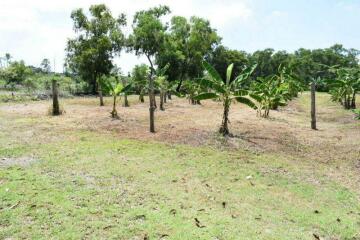 For Sale Pathum Thani Land Khlong Luang