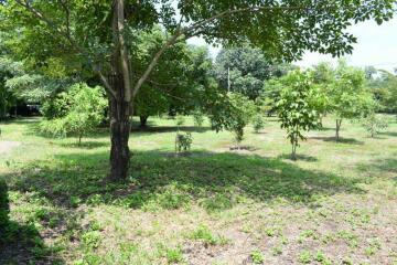 For Sale Pathum Thani Land Khlong Luang