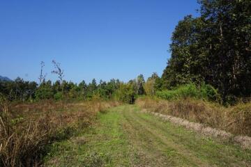 Land for Sale in Mae Rim area, Chiang Mai