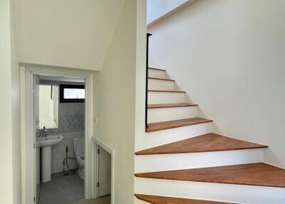 Brightly lit staircase with wooden steps leading to an upper floor and a view into a modern bathroom